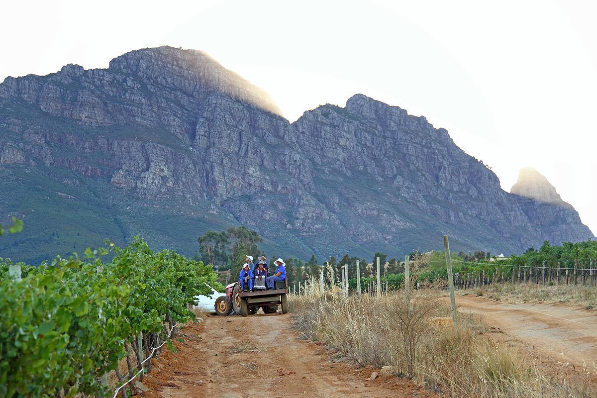 Muratie Wine Estate Hotel Stellenbosch Buitenkant foto