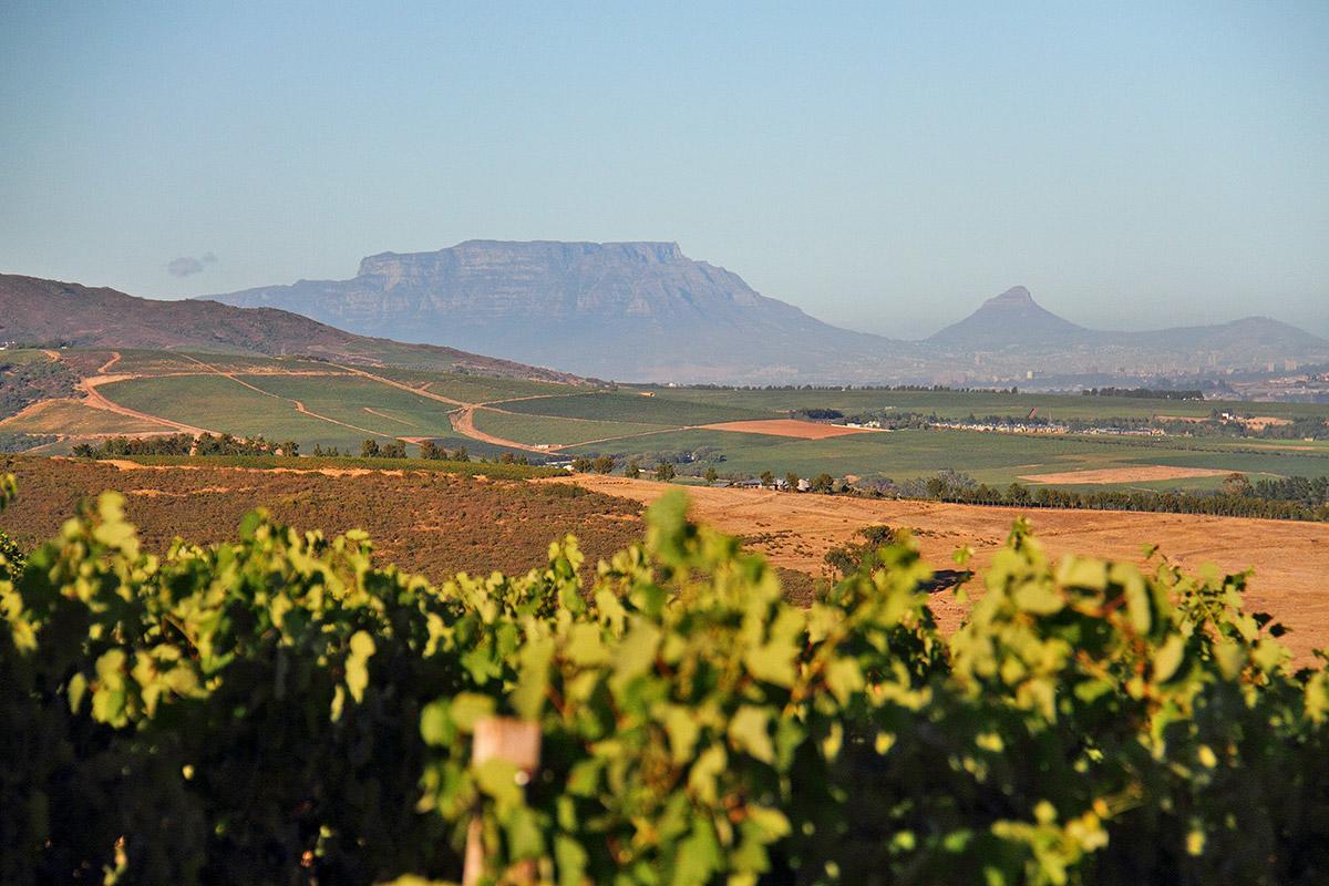 Muratie Wine Estate Hotel Stellenbosch Buitenkant foto